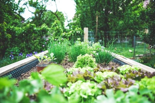 Comment adapter ses recettes en fonction des saisons et des produits locaux ?